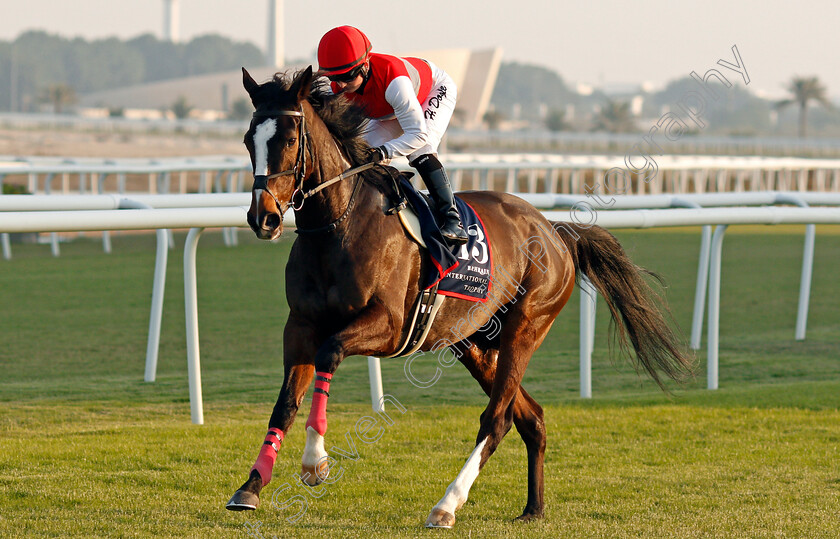 Deirdre-0001 
 DEIRDRE (Hollie Doyle)
Bahrain 20 Nov 2020 - Pic Steven Cargill / Racingfotos.com