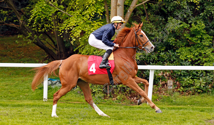 Crystal-Hope-0001 
 CRYSTAL HOPE (William Buick) before winning The Nordoff Robbins David Enthoven Memorial Fillies Novice Stakes Sandown 27 Apr 2018 - Pic Steven Cargill / Racingfotos.com