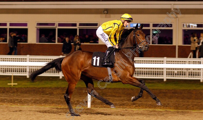 Move-Swiftly-0001 
 MOVE SWIFTLY (Tom Marquand) winner of The toteJackpot At betfred.com Novice Median Auction Stakes Chelmsford 21 Dec 2017 - Pic Steven Cargill / Racingfotos.com