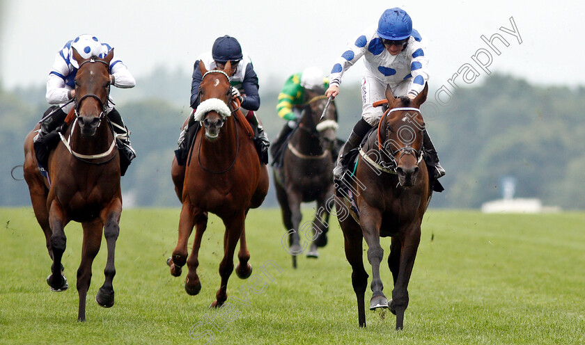 Western-Duke-0003 
 WESTERN DUKE (right, P J McDonald) beats VIVID DIAMOND (left) in The Plymouth Fruit Cup Hadicap
Ascot 27 Jul 2019 - Pic Steven Cargill / Racingfotos.com