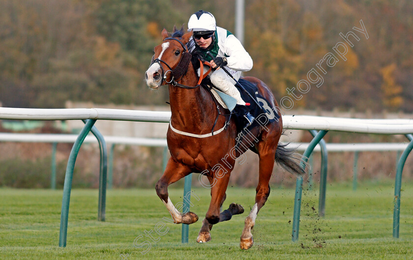 Gordonstoun-0003 
 GORDONSTOUN (Cieren Fallon) wins The Best Odds Guaranteed At Mansionbet Nursery
Nottingham 4 Nov 2020 - Pic Steven Cargill / Racingfotos.com