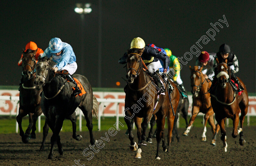 Yellowhammer-0002 
 YELLOWHAMMER (right, Kieran Shoemark) beats CRAFTY MADAM (left) in The 32Red Stallions Breeding Winners EBF Fillies Handicap Kempton 18 Oct 2017 - Pic Steven Cargill / Racingfotos.com