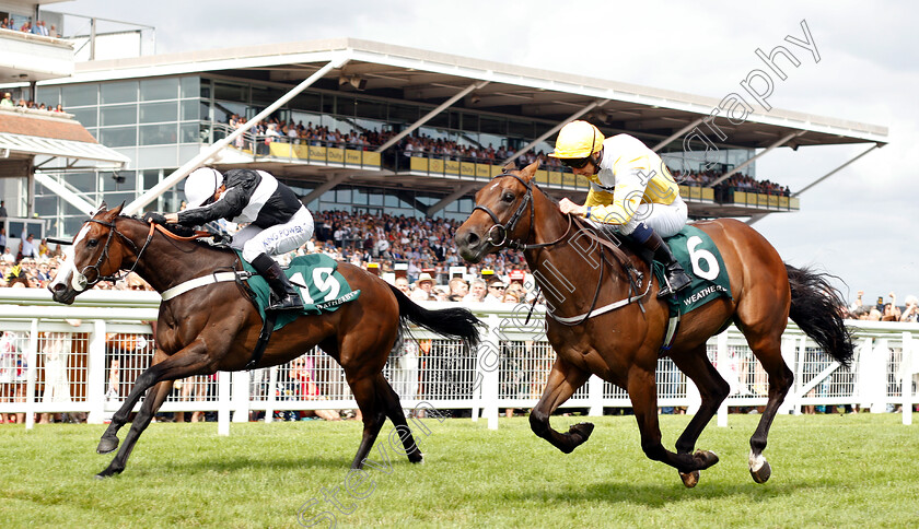 Bettys-Hope-0007 
 BETTYS HOPE (left, Silvestre De Sousa) beats SHOW ME SHOW ME (right) in The Weatherbys Super Sprint Stakes
Newbury 20 Jul 2019 - Pic Steven Cargill / Racingfotos.com