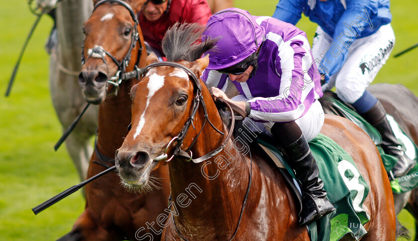 Japan-0009 
 JAPAN (Ryan Moore) wins The Juddmonte International Stakes
York 21 Aug 2019 - Pic Steven Cargill / Racingfotos.com