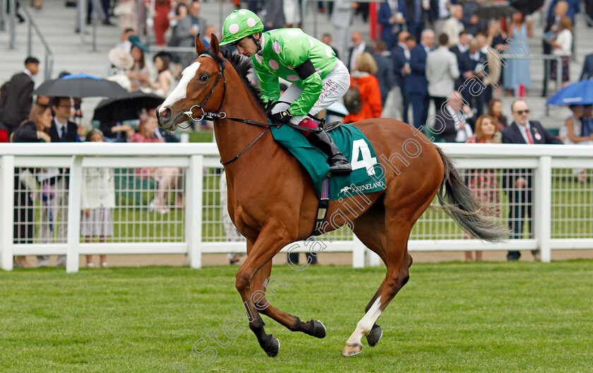 Desert-Dreamer-0001 
 DESERT DREAMER (Oisin Murphy)
Ascot 24 Jul 2021 - Pic Steven Cargill / Racingfotos.com