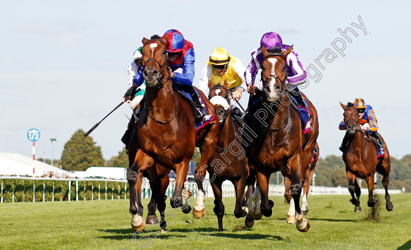 Jan-Brueghel-0002 
 JAN BRUEGHEL (left, Sean Levey) beats ILLINOIS (right) in The Betfred St Leger Stakes
Doncaster 14 Sep 2024 - Pic Steven Cargill / Racingfotos.com