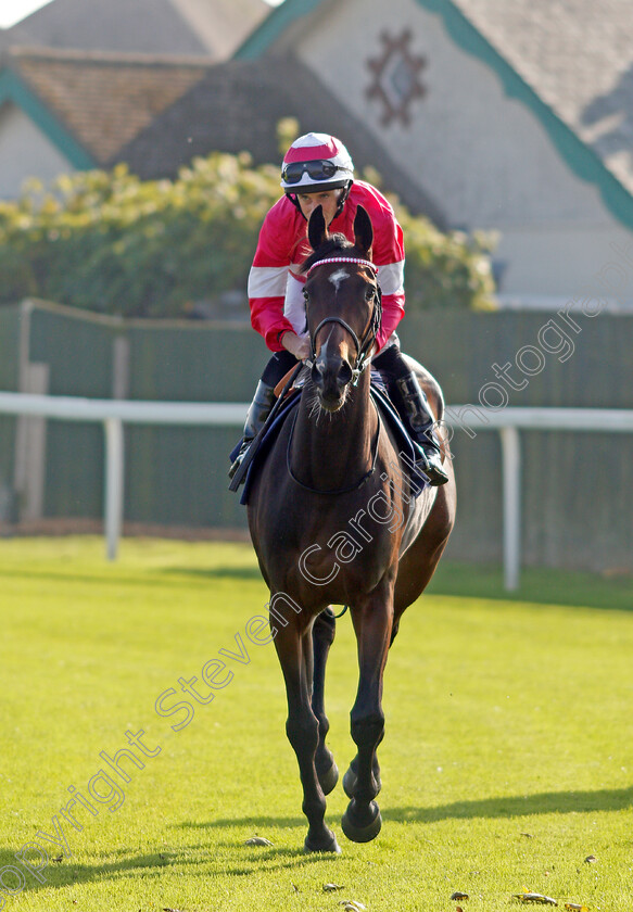 Amanzoe 
 AMANZOE (Ryan Moore)
Yarmouth 19 Oct 2021 - Pic Steven Cargill / Racingfotos.com