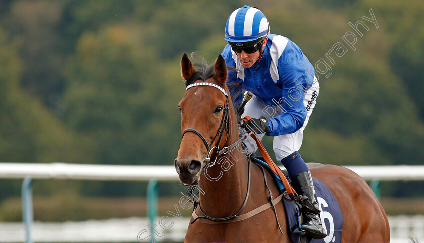 Almahha-0002 
 ALMAHHA (Jim Crowley)
Lingfield 3 Oct 2019 - Pic Steven Cargill / Racingfotos.com