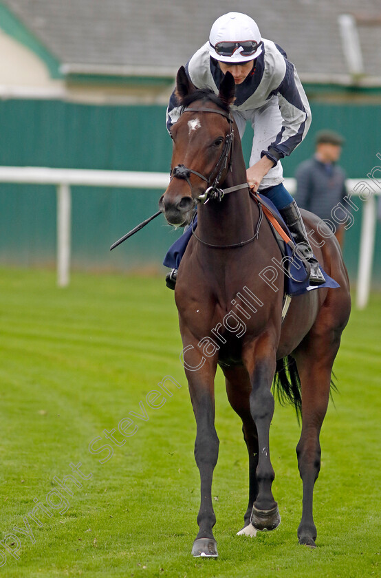 Piz-Nair-0002 
 PIZ NAIR (Callum Shepherd)
Yarmouth 21 Sep 2023 - Pic Steven Cargill / Racingfotos.com