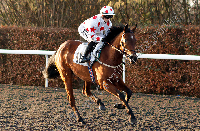 Brockagh-Cailin-0001 
 BROCKAGH CAILIN (Hollie Doyle)
Kempton 4 Jan 2019 - Pic Steven Cargill / Racingfotos.com