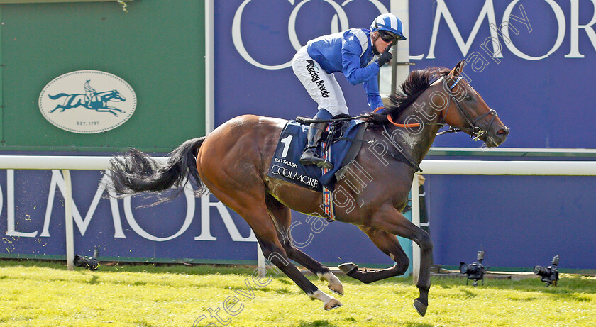 Battaash-0007 
 BATTAASH (Jim Crowley) wins The Coolmore Nunthorpe Stakes
York 23 Aug 2019 - Pic Steven Cargill / Racingfotos.com