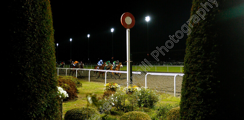 Penny-Poet-0001 
 PENNY POET (right, Jamie Spencer) wins The Starsports.bet Handicap
Kempton 15 Aug 2018 - Pic Steven Cargill / Racingfotos.com