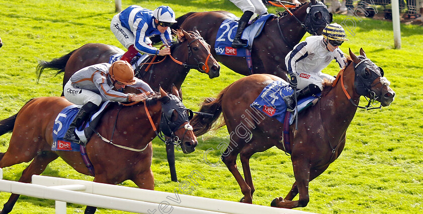 Summerghand-and-Albasheer-0002 
 SUMMERGHAND (left, Daniel Tudhope) and ALBASHEER (right) dead-heat in The Sky Bet Constantine Handicap
York 26 Aug 2023 - Pic Steven Cargill / Racingfotos.com