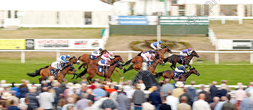 Haveoneyerself-0004 
 HAVEONEYERSELF (Daivd Egan) wins The Moulton Nurseries Handicap
Yarmouth 13 Sep 2022 - Pic Steven Cargill / Racingfotos.com