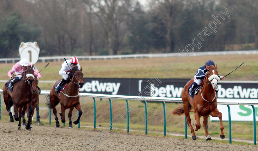 Harvey-Dent-0005 
 HARVEY DENT (Hollie Doyle) wins The Ladbrokes Home Of The Odds Boost Novice Median Auction Stakes
Lingfield 25 Jan 2019 - Pic Steven Cargill / Racingfotos.com