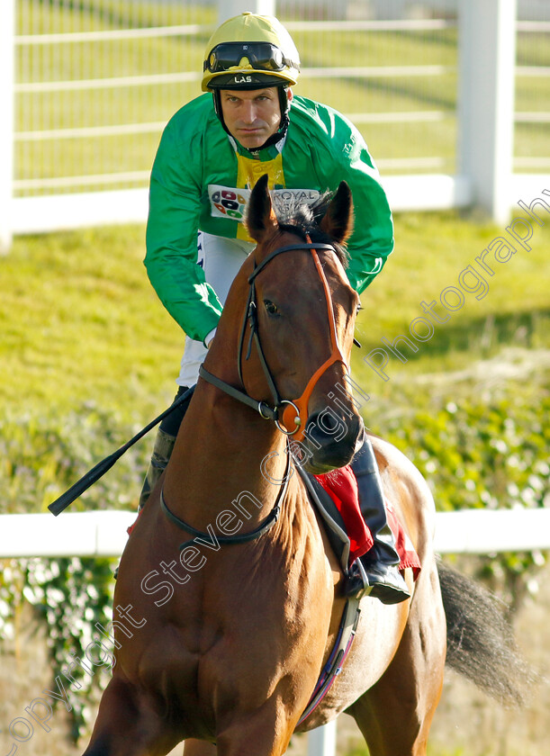 Dapper-Valley-0001 
 DAPPER VALLEY (Pat Dobbs)
Sandown 25 May 2023 - Pic Steven Cargill / Racingfotos.com