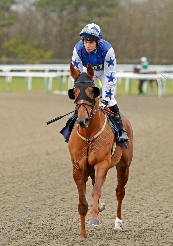 Petite-Jack-0001 
 PETITE JACK (Luke Morris) Lingfield 3 Feb 2018 - Pic Steven Cargill / Racingfotos.com