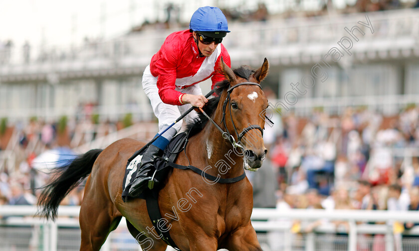 Peripatetic-0001 
 PERIPATETIC (William Buick) wins The City Of Chichester Fillies Handicap
Goodwood 28 Aug 2022 - Pic Steven Cargill / Racingfotos.com