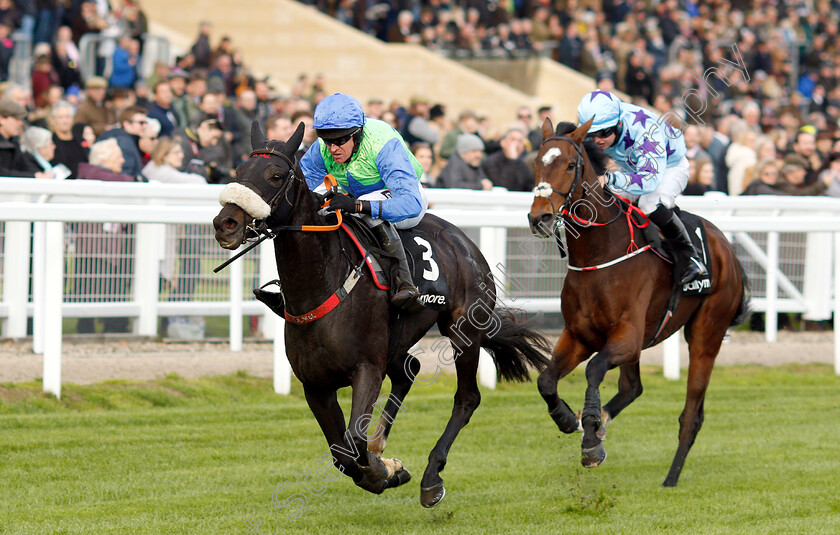 Canardier-0003 
 CANARDIER (Barry Geraghty) wins The Ballymore Novices Hurdle
Cheltenham 26 Oct 2018 - Pic Steven Cargill / Racingfotos.com