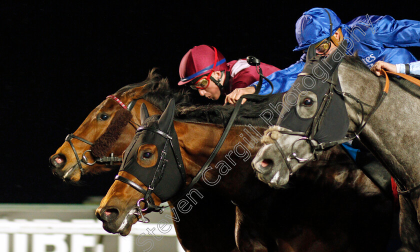 Blue-Trail-0004 
 BLUE TRAIL (centre, James Doyle) beats HARROW (right) and FIND (left) in The Road To The Kentucky Derby Conditions Stakes
Kempton 2 Mar 2022 - Pic Steven Cargill / Racingfotos.com