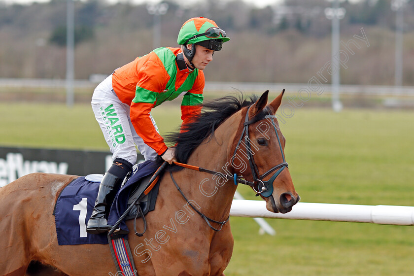 Maid-Of-Aragon-0002 
 MAID OF ARAGON (Jason Hart)
Wolverhampton 12 Mar 2022 - Pic Steven Cargill / Racingfotos.com