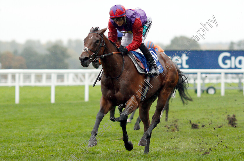 Di-Fede-0003 
 DI FEDE (Harry Bentley) wins The Neptune Investment Management British EBF October Stakes
Ascot 6 Oct 2018 - Pic Steven Cargill / Racingfotos.com