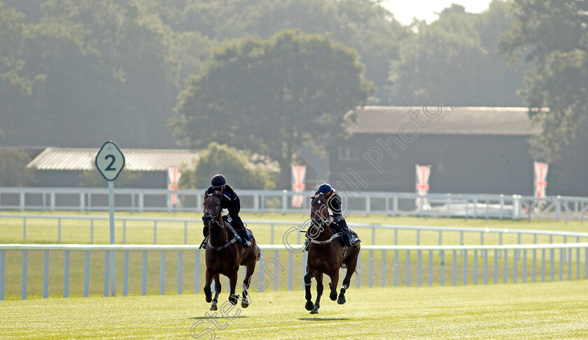 Coolangatta-0005 
 COOLANGATTA (right, James McDonald) preparing for Royal Ascot
Ascot 14 Jun 2023 - Pic Steven Cargill / Racingfotos.com