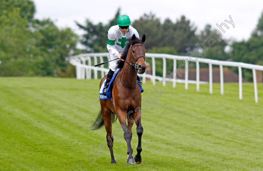 Rodrigo-Diaz 
 RODRIGO DIAZ (Jamie Spencer)
Sandown 26 May 2022 - Pic Steven Cargill / Racingfotos.com