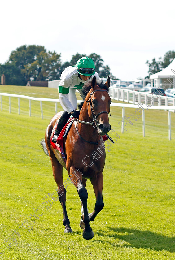 Mortlake-0002 
 MORTLAKE (Rossa Ryan)
Sandown 2 Sep 2023 - Pic Steven Cargill / Racingfotos.com