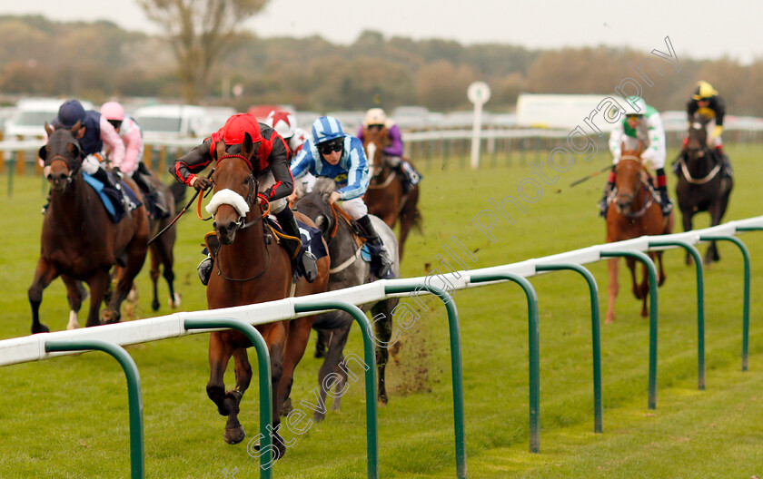 Broughtons-Story-0001 
 BROUGHTONS STORY (Jack Osborn) wins The Haven Seashire Holiday Park Handicap Yarmouth 16 Oct 2017 - Pic Steven Cargill / Racingfotos.com