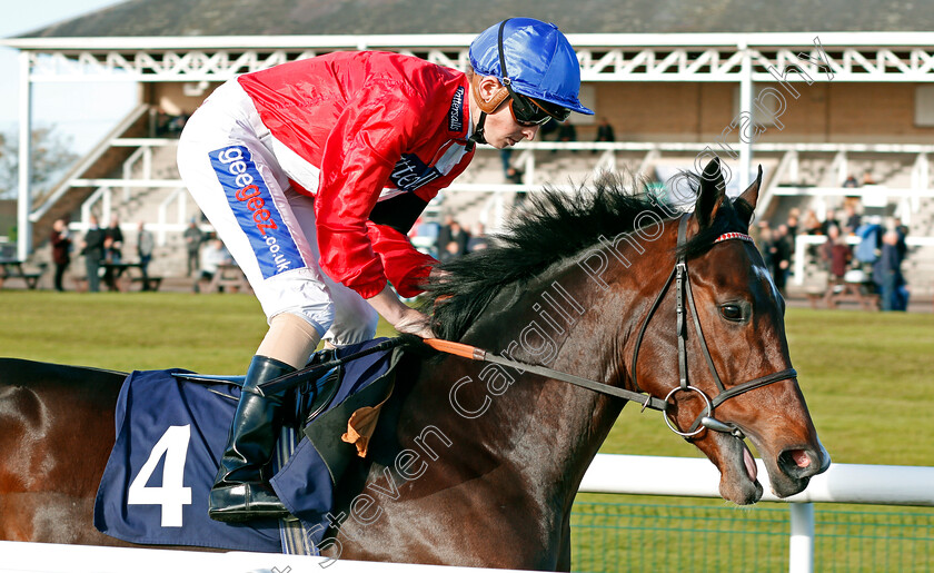 Hidden-Affair-0001 
 HIDDEN AFFAIR (David Probert) Doncaster 11 Nov 2017 - Pic Steven Cargill / Racingfotos.com