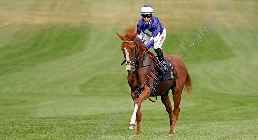 Hopeforthebest-0002 
 HOPEFORTHEBEST (Hollie Doyle)
Newmarket 22 Jul 2022 - Pic Steven Cargill / Racingfotos.com