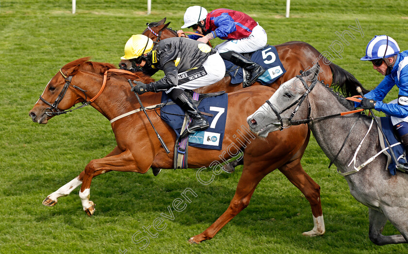 Project-Dante-0005 
 PROJECT DANTE (Graham Lee) wins The British Stallion Studs EBF Novice Stakes
York 12 May 2021 - Pic Steven Cargill / Racingfotos.com