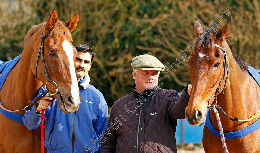 Native-River-and-Cue-Card-0003 
 NATIVE RIVER (left) and CUE CARD (right) with Colin Tizzard at his stables near Sherborne 21 Feb 2018 - Pic Steven Cargill / Racingfotos.com