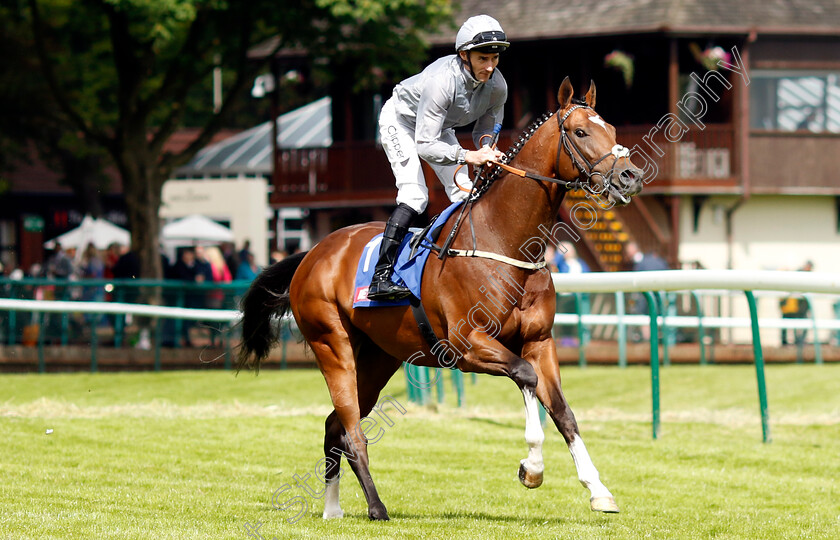 Flight-Plan-0001 
 FLIGHT PLAN (Daniel Tudhope)
Haydock 8 Jun 2024 - Pic Steven Cargill / Racingfotos.com