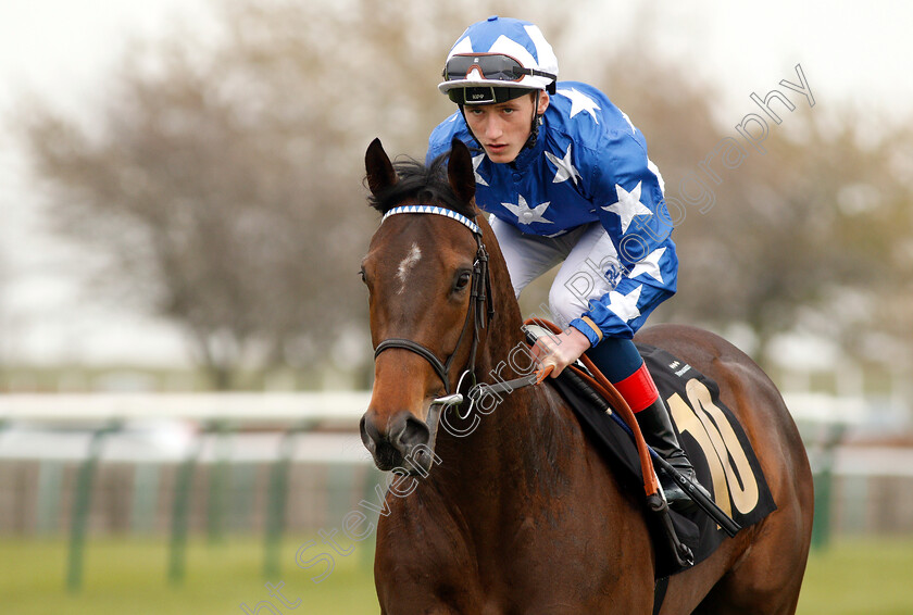 Qabala-0001 
 QABALA (David Egan) winner of The Lanwades Stud Nell Gwyn Stakes
Newmarket 16 Apr 2019 - Pic Steven Cargill / Racingfotos.com