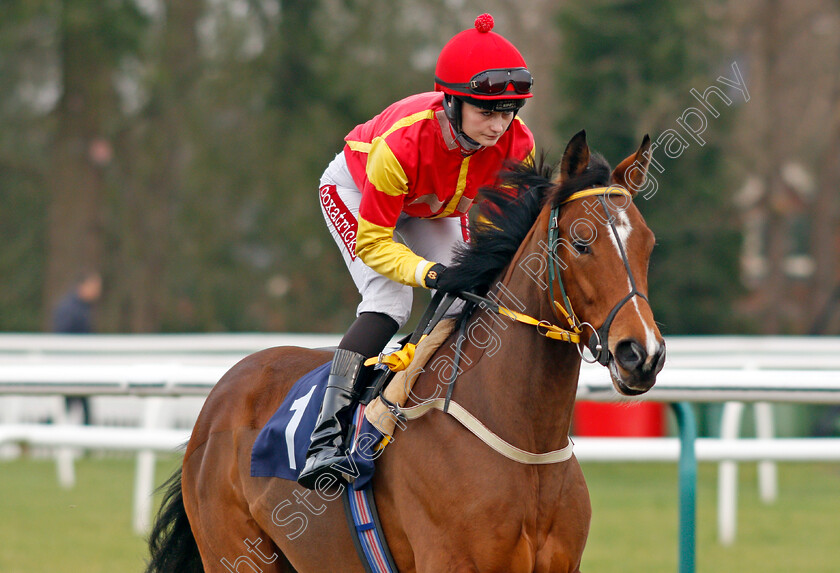 Maazel-0002 
 MAAZEL (Shelley Birkett) Lingfield 6 Jan 2018 - Pic Steven Cargill / Racingfotos.com