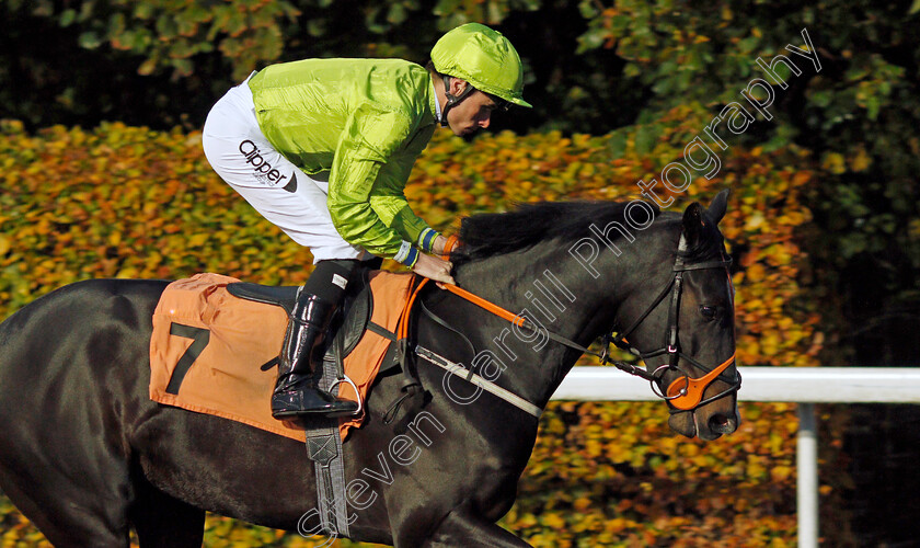 Tickets 
 TICKETS (Kieran Shoemark)
Kempton 10 Nov 2021 - Pic Steven Cargill / Racingfotos.com