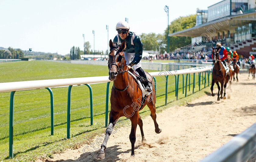 Gipsy-Chief-0001 
 GIPSY CHIEF (Cristian Demuro)
Deauville 6 Aug 2022 - Pic Steven Cargill / Racingfotos.com