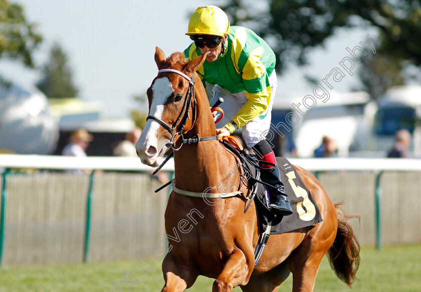 Thomas-Equinas-0002 
 THOMAS EQUINAS (Shane Kelly)
Newmarket 24 Sep 2021 - Pic Steven Cargill / Racingfotos.com