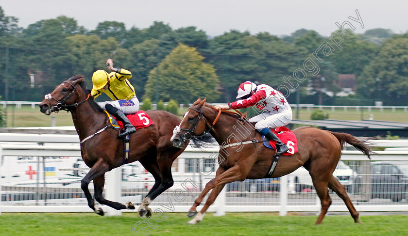 Tennessee-Gold-0002 
 TENNESSEE GOLD (right, Callum Shepherd) beats SMART HERO (left) in The Boodles Handicap
Sandown 8 Aug 2024 - Pic Steven Cargill / Racingfotos.com