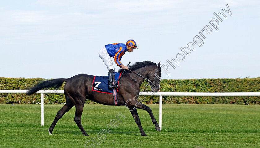 Auguste-Rodin-0014 
 AUGUSTE RODIN (Ryan Moore) winner of The Royal Bahrain Irish Champion Stakes
Leopardstown 9 Sep 2023 - Pic Steven Cargill / Racingfotos.com