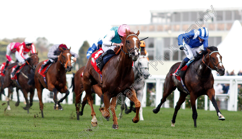 Blue-Mist-0001 
 BLUE MIST (Ryan Moore) beats KITAABAAT (right) in The Mar-Key Group Classified Stakes
Ascot 5 Oct 2018 - Pic Steven Cargill / Racingfotos.com