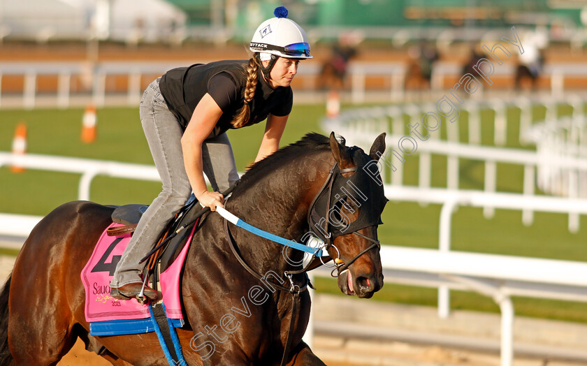 Gunite-0002 
 GUNITE training for The Riyadh Turf Sprint
King Abdulaziz Racecourse, Kingdom Of Saudi Arabia, 23 Feb 2023 - Pic Steven Cargill / Racingfotos.com