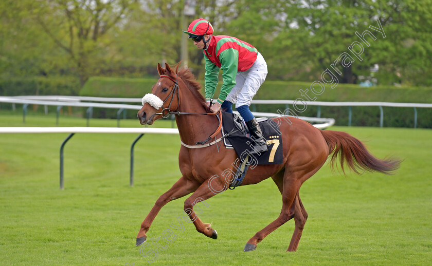 Destiny s-Spirit-0001 
 DESTINY'S SPIRIT (David Probert)
Nottingham 22 Apr 2023 - pic Steven Cargill / Becky Bailey / Racingfotos.com