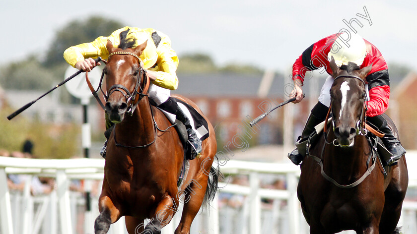 Boerhan-and-Sheila s-Showcase-0004 
 BOERHAN (left, James Doyle) dead-heats with SHEILA'S SHOWCASE (right, Charles Bishop) in The Don Deadman Memorial EBF Maiden Stakes Div2
Newbury 17 Aug 2018 - Pic Steven Cargill / Racingfotos.com