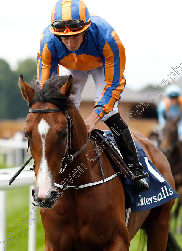 Broome-0001 
 BROOME (Ryan Moore)
York 22 Aug 2018 - Pic Steven Cargill / Racingfotos.com