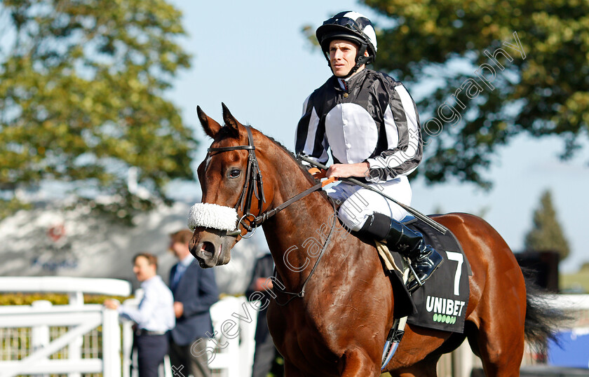 Majestic-Glory-0001 
 MAJESTIC GLORY (Ryan Moore)
Newmarket 24 Sep 2021 - Pic Steven Cargill / Racingfotos.com