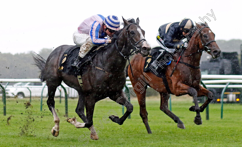 Go-Daddy-0004 
 GO DADDY (Callum Shepherd) wins The British Stallion Studs EBF Nursery
Nottingham 11 Oct 2023 - Pic Steven Cargill / Racingfotos.com