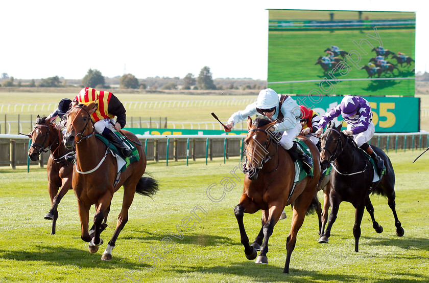 Fairyland-0005 
 FAIRYLAND (right, Donnacha O'Brien) beats THE MACKEM BULLET (left) in The Juddmonte Cheveley Park Stakes
Newmarket 29 Sep 2018 - Pic Steven Cargill / Racingfotos.com